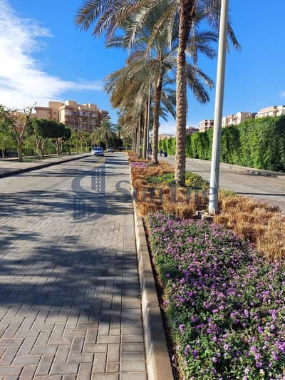 شقة أرضي بجاردن للإيجار في كمبوند اشجار سيتي - خلف مدينة الانتاج الاعلامي علي طريق القطر السريع - حدائق أكتوبر