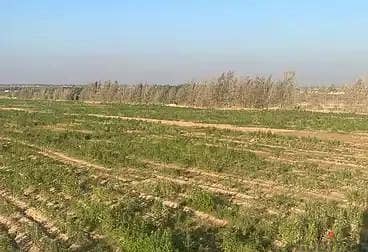 فدان زراعي علي طريق اسيوط الغربي بجوار كايرو ريف