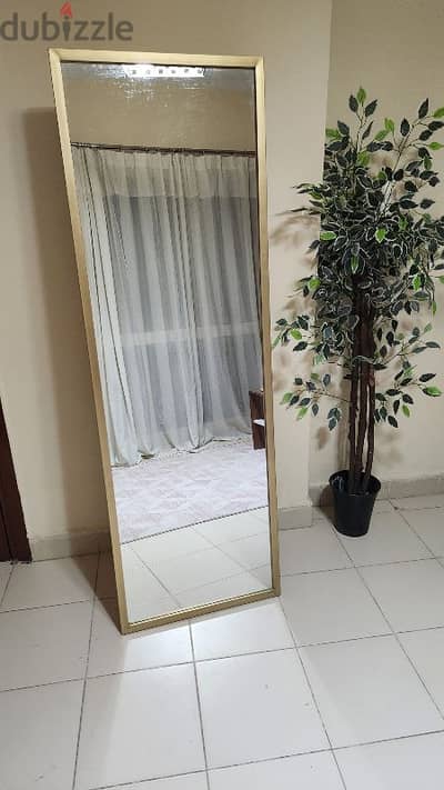 Standing full length mirror