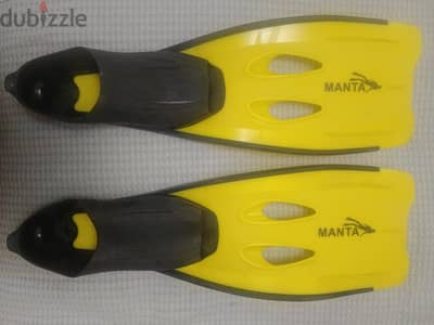swimming fins