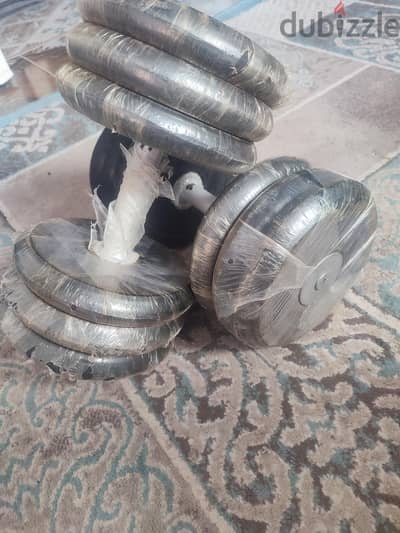 الاسكندريه قسم أول العامريه