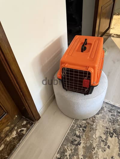 مستلزمات قطط بتخفيض