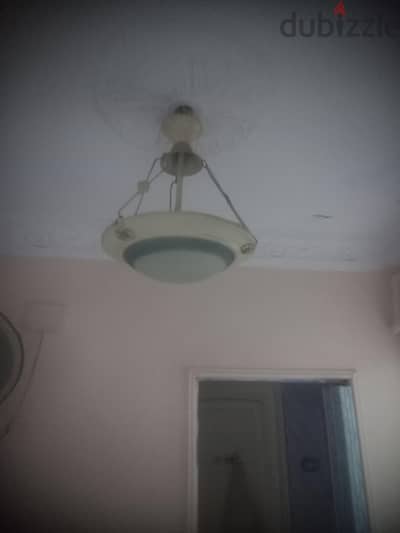 نجفتين وطبق البيع