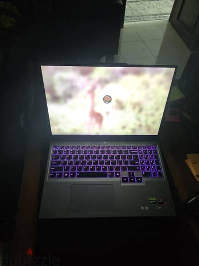 lenovo legion 5 slim rtx 4060 premium