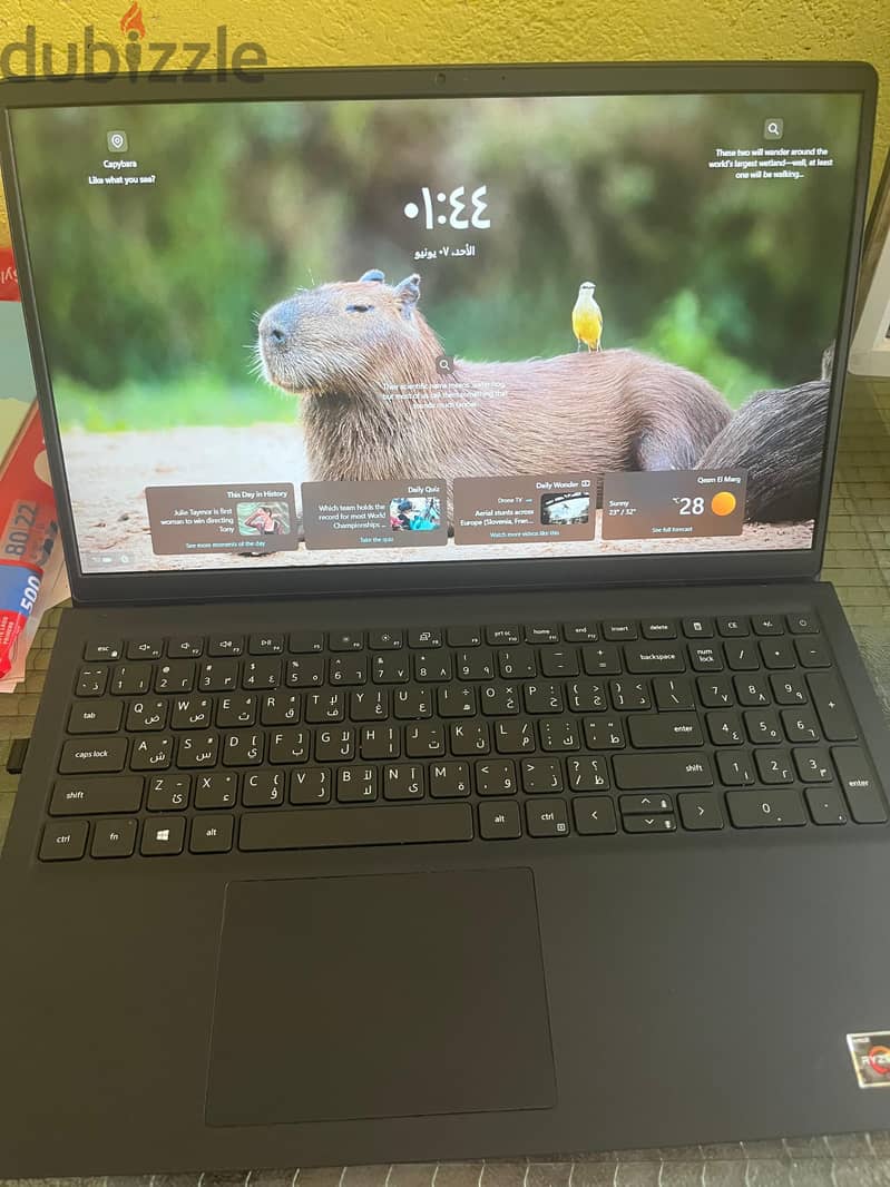 Dell3515 1