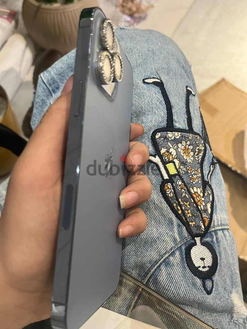 Apple - iPhone 13 Pro Max 1