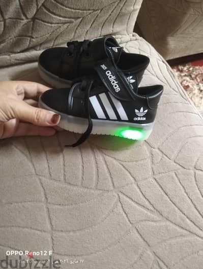 كوتش بيبي