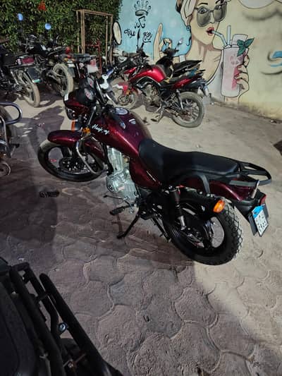 هوجن 3 استيراد