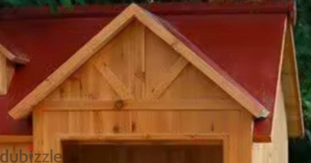 doge house 4