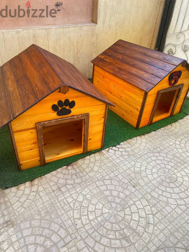 doge house 5