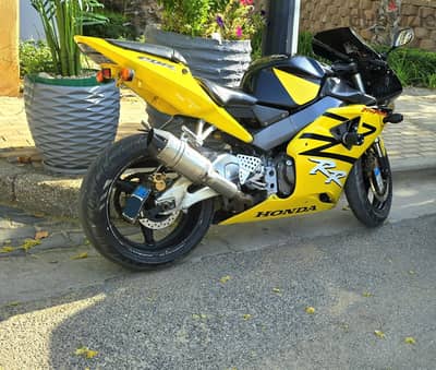 honda 954rr