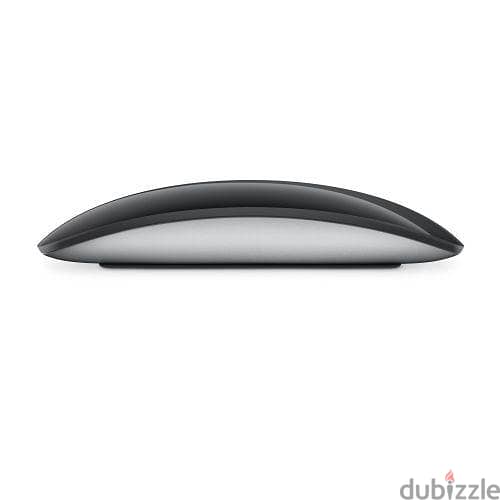Apple mouse Magic 2 2