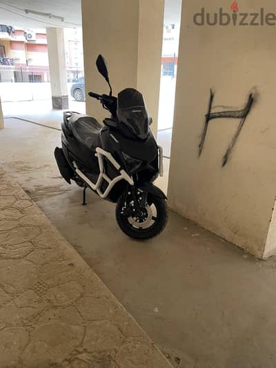 المعادي