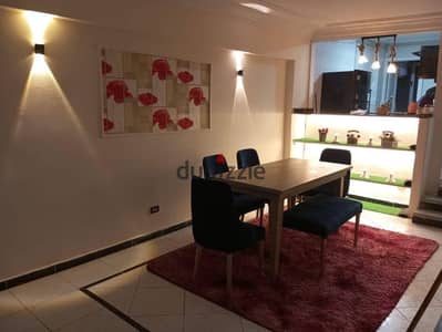 Luxury furnished apartment for daily rent