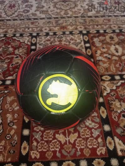 puma handball