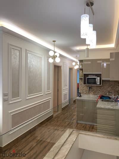 Furnished iVilla Garden With ACs & Kitchen For Rent - Mountain View Hyde Park