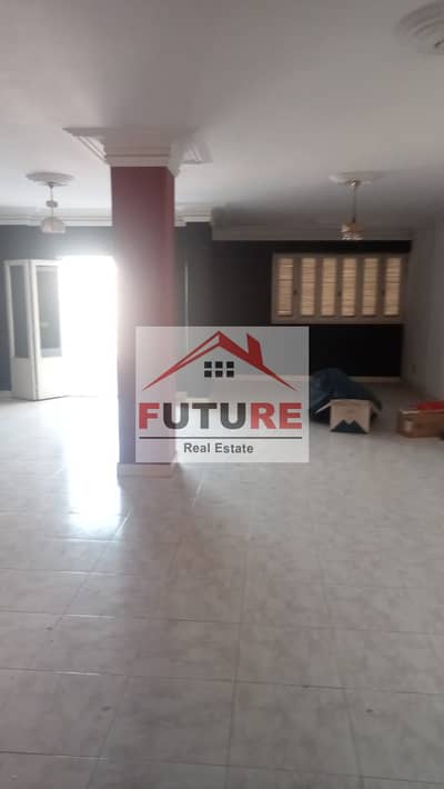 For Sale: Distinctive Apartment in Nasr City – The Area