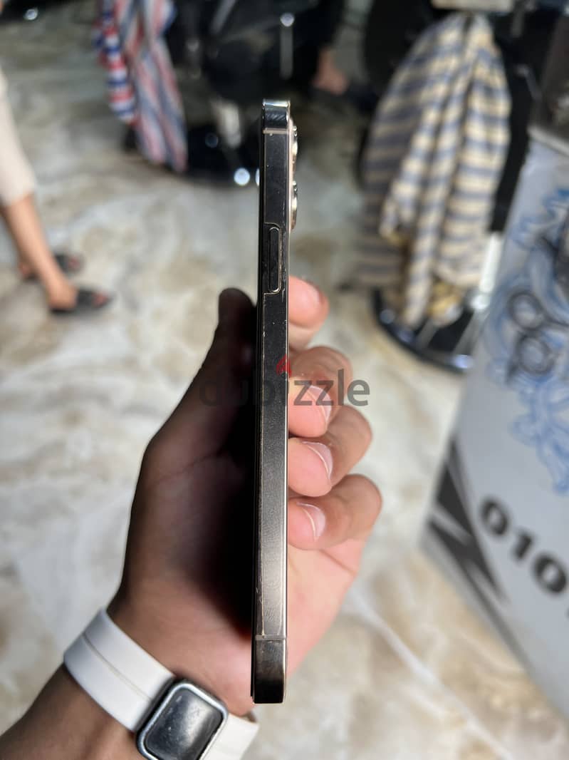 12PROmax 1