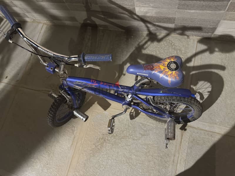 Cobra banaweer 2