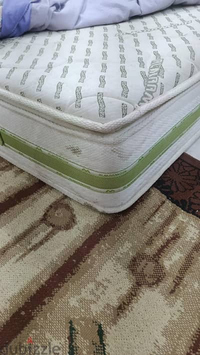 مرتبه طبيه من المامون