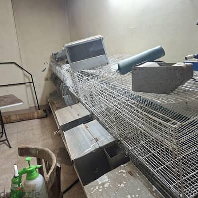 بطارية ارانب هرمي ١٦ عين  مدهونه ومتجددة