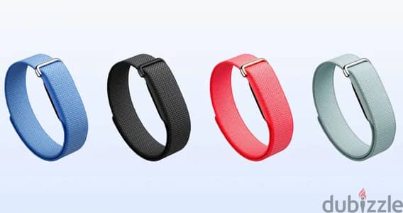 Google Fitbit Air