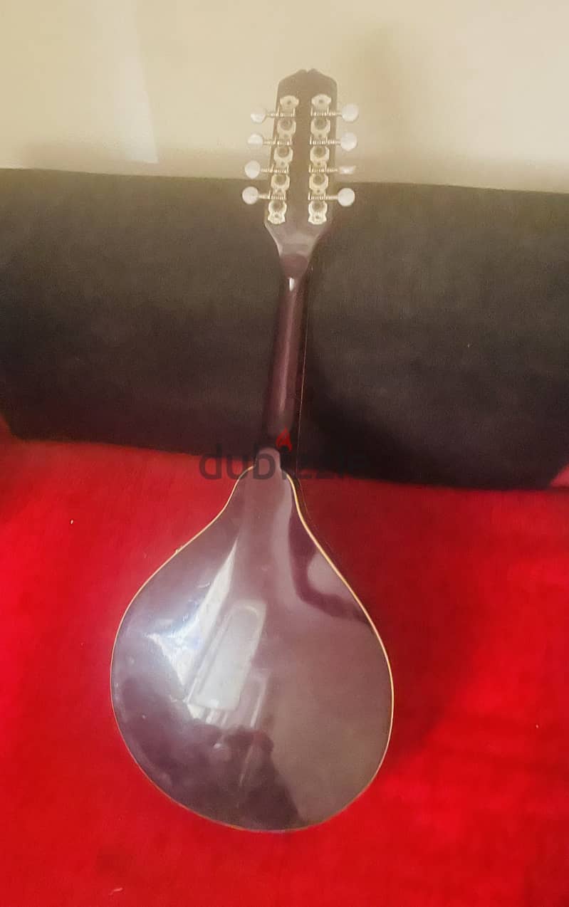 Mandolin 8-string 1