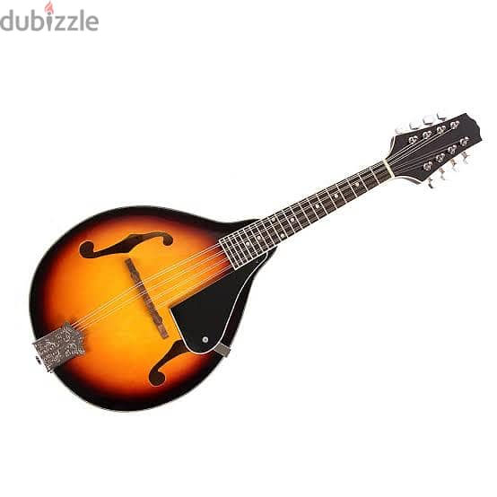 Mandolin 8-string 2