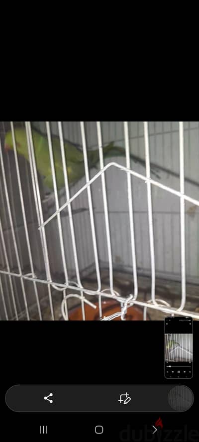 دره هندى
