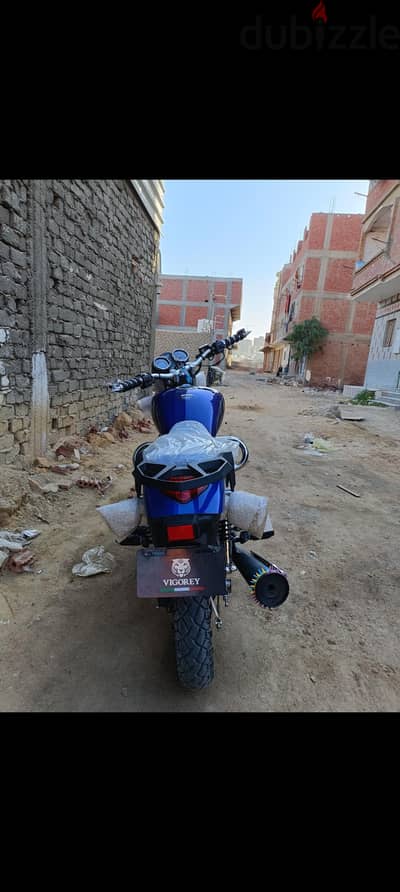 هوجن 3 ارنبه  فجوري 3 ديجيتال