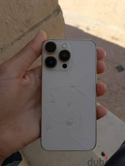 معروض للبدل فقط
