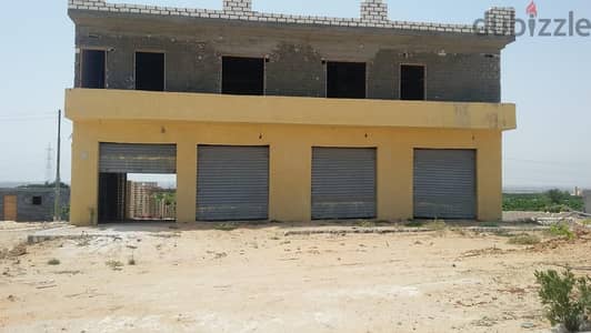 من المالك مباشرة ارض بطريق الساحل الشمالي على الطريق مباشرة