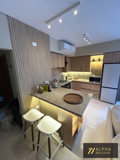 Apartment with private garden for rent in Villette Sodic New Cairo Fifth Settlement fully furnished luxury garden apartment near AUC