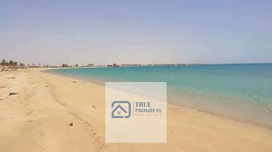land for sale 250 acres in Ras Sidr on the sea directly allocating a tourist resort