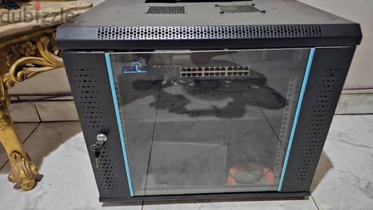 Perla Rack 9U + TP-Link TL-SG1024D Switch