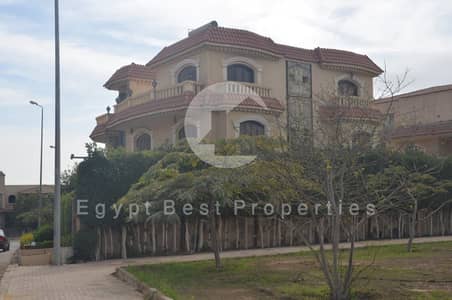 Villa for Sale in Diplomats Compound | Sheikh Zayed | Prime Location Villa for Sale in Diplomats Compound | Sheikh Zayed | Prime Location