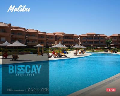 Ready to Move Chalets and Villas for sale in Malibu Resort Ain Sokhna directly on the sea in Ain Sokhna with installments over 7 yearss Ready to Move Chalets and Villas for sale in Malibu Resort Ain Sokhna directly on the sea in Ain Sokhna with installments over 7 yearss