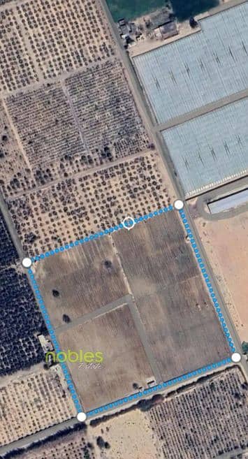 Farm for immediate sale, a great opportunity for agricultural investment in a prime location minutes from Sheikh Zayed City in Alexandria Desert Road