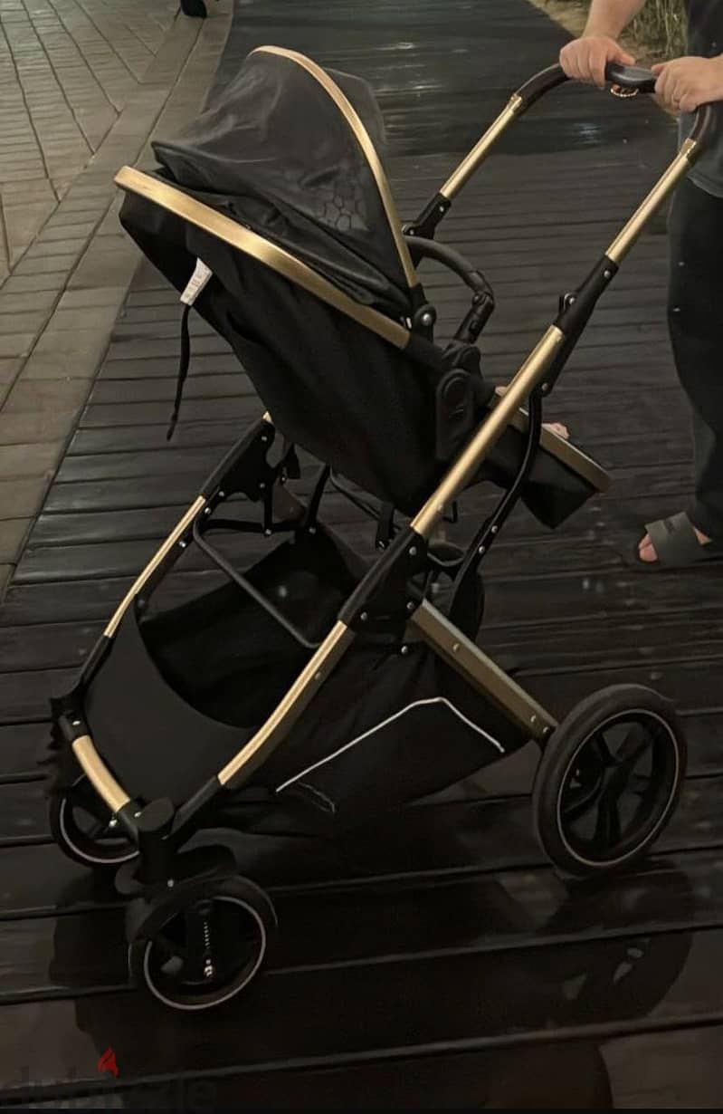 Stroller 1