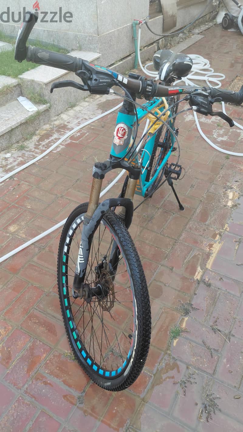 phoenix bicycle 1