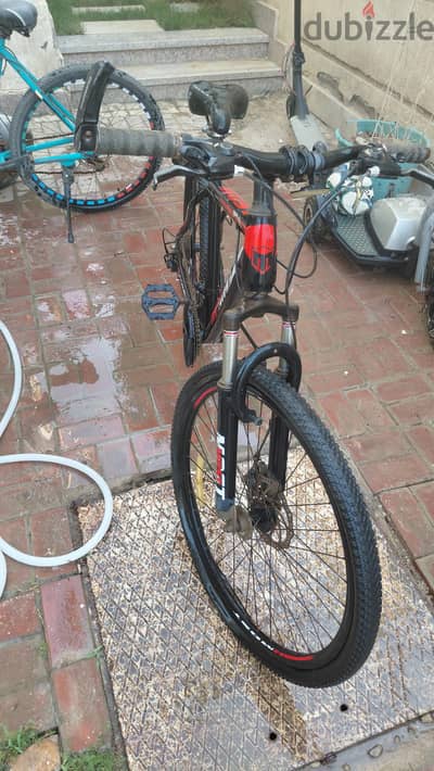 most bike