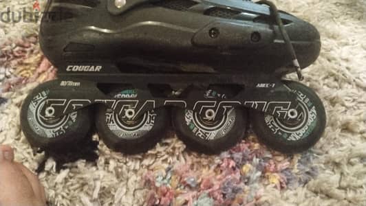 roller skates