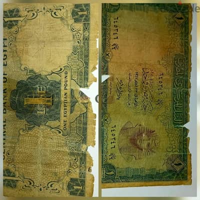 جنيه مصري مميز
