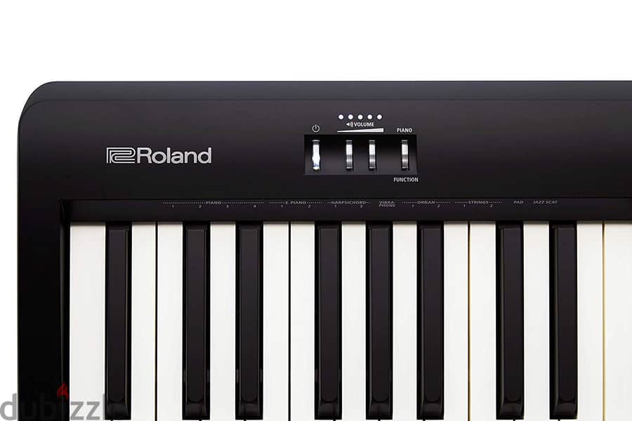 Rolend fp10 1