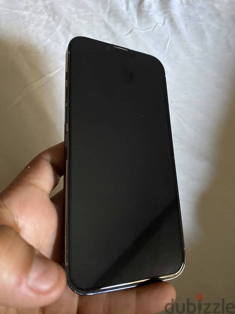 Apple - iPhone 13 Pro Max 1