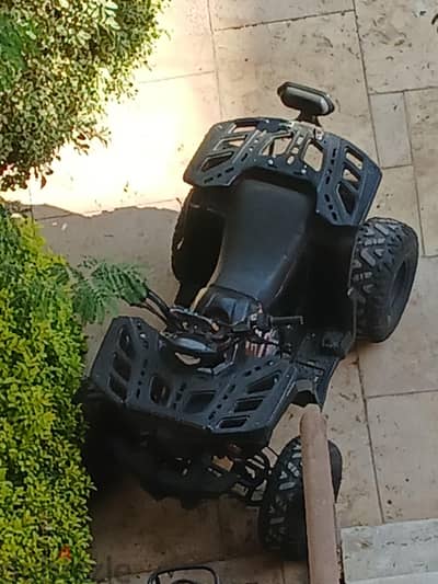 beach buggy