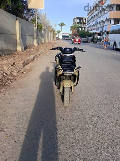 اسوتر كهربا