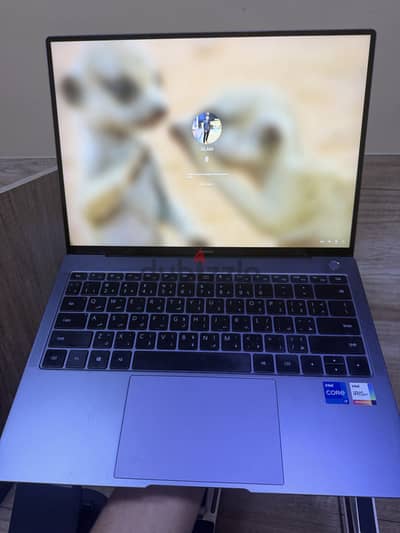 Huawei MateBook X Pro 2021