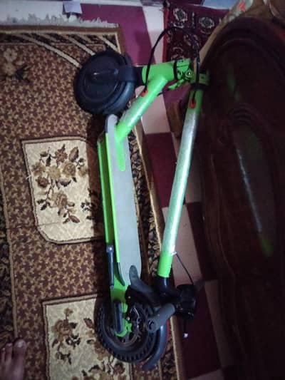 المعموره