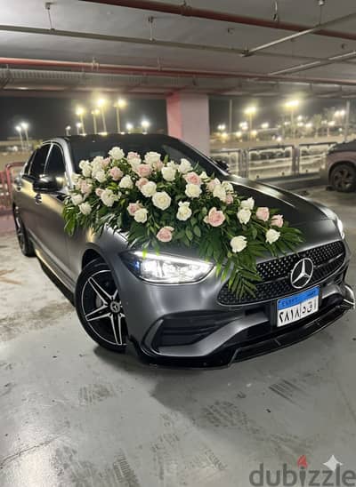 ايجار سيارات